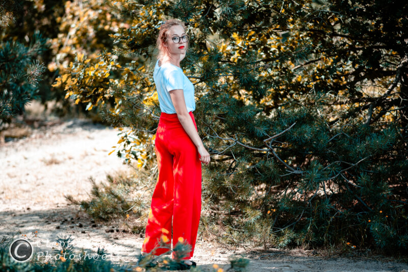 portfolio